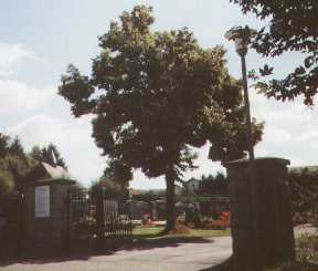 Friedhof Rinchnach